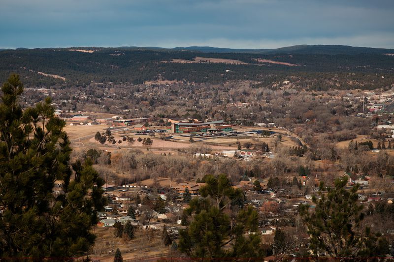 A medical complex seen from far away, surrounded on all sides by trees and residential neighborhoods. In the distance, low wooded hills are visible.