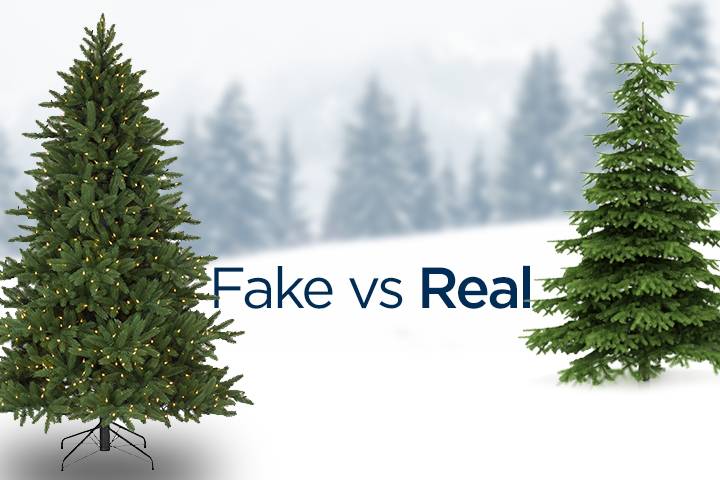 What's Better, Real or Fake Christmas Trees? – Taft Tribune